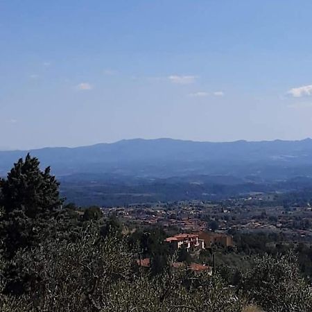 Agrifarm La Corte Guest House Villa Bensi ภายนอก รูปภาพ